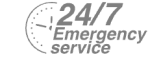 24/7 Emergency Service Pest Control in Southfleet, Meopham, DA13. Call Now! 020 8166 9746
