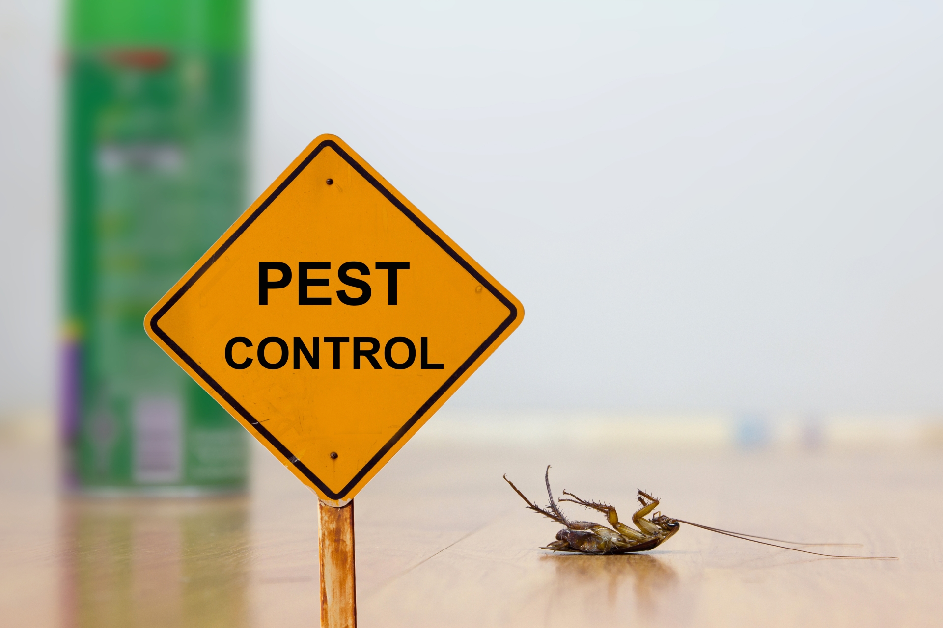 24 Hour Pest Control, Pest Control in Southfleet, Meopham, DA13. Call Now 020 8166 9746